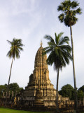 Wat Phra Si Ratana Mahathat Framed by Palms