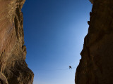 Highliner Walking on Line Above Cocaine Gully at Smith Rock State Park
