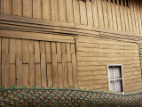 Dragon's Body and Wooden Teak Wall