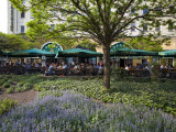 Drinkers in a Nikolai Quarter Beergarden  Mitte
