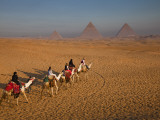 Tourists on Camels and Pyramids of Giza