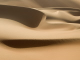 Sand Dunes  Rub Al Khali Desert