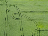 Aerial View of Tractor Patterns in Field