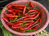 Red Chilli Peppers