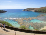 Protected Coral Reef at Hanauma Bay Park