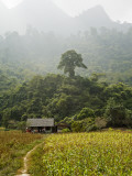 Farmers House  Cornfield and Forested Mountains Along Road 4C