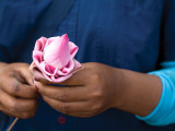 Woman in Blue Dress Holding Pink Lotus Flower