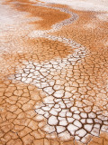 Dry Cracked Earth