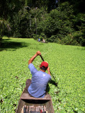 Man Paddling Through Dense Aquatic Hualma Plants in the Quebrada Nuevo Iquitos