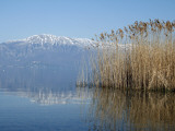 Lake Ohrid Shore with Macedonian Mountains in Background
