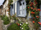 Roses and Flowers and Half-Timbered Houses Along Rue Du Logis Du Roy