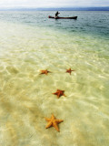 Sea Stars in Tropical Water at Star Beach