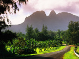 Road Through Lush Vegetation at Anahola with Mountain Backdrop