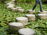 Man Crossing Stepping Stones across Soryu-Ike Pond in Naka Shin'En Garden