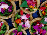 Flower Offerings for Sale on Sita Kund During Khumb Mela