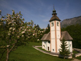 The Holy Spirit Church with Apple Tree in Blossom  Near Southern Shore of Lake Bohinj