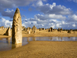 Limestone Formations in Pinnacles Desert  Near Town of Cervantes