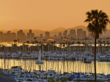 Yachts across San Diego Bay at Sunrise  Looking Towards Downtown