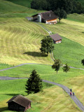 Overhead of Road Through Green Pastures