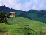 Hotel Overlooking the Dragon's Backbone Rice Terraces Near Longsheng