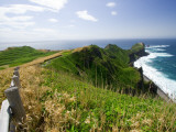Kamui Peninsula Path and Coastline