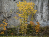 Autumn Colour and Cliff Along Route 276
