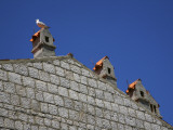 Chimney Pots and Seagull in Historic Centre of Rab Town