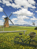 Lily Windmill with Stirling Ranges in Distance