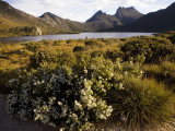 Dove Lake and Cradle Mountain