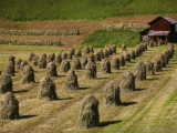 Haystacks in Field with Wooden Hut in Background