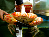 Large Crab at Chinese Restaurant  Chinatown