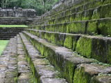 Detail of Moss Covered Stone Steps at Mayan Ruins of Quirigua