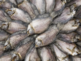 Dried Fish in Stall Outside Binh Tay Market on Hau Giang Street