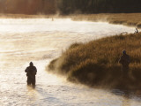 Three Fly Fishermen on the Madison River (Near Madison Junction)