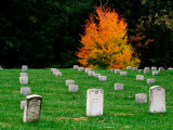 Graves of Union Soldiers at Fredericksburg National Cemetery