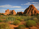 Desert Landscape and Rock Formations of Navajo Sandstone Near Devils Garden Trail