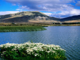 Laguna Nimes on Edge of El Calafate