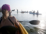 Tourists Sea Kayaking around Mangroves Off Key West