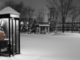 Public Telephone Box in Park  Covered in Snow  Ottowa-Cho