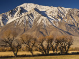 Mt Tom in Sierra Nevada in Winter from Round Valley Near Bishop