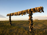 Boot Rack