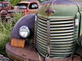 Rusted Pick-Up Trucks