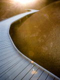 Pathway at Painted Hills