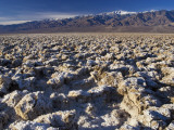 Devil's Golf Course  Panamint Range with Telescope Peak in Distance  Death Valley