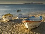 Panga Boats on Beach Along Bahia De San Felipe at Sunrise