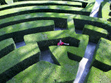 Man Lost in Maze in Gardens of Villa Pisani Near Stra