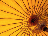 Underside of Yellow Parasol  Symbol of North Thailand
