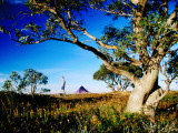 Campsite  Mt Speculation
