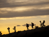 Young Man and Woman Hiking Through Desert at Sunset
