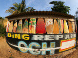 Surfboard Repair Shop  which has a Thriving Trade Due to the Heavy Waves